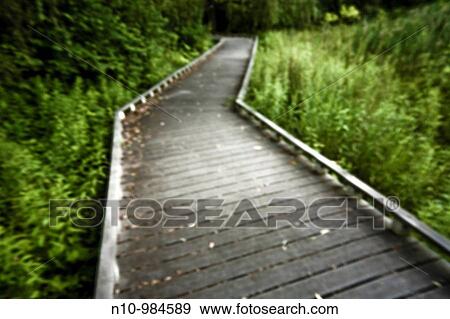Stock Photo - Walking trail at a city park. Fotosearch