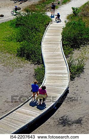 Walking Trail Boardwalk Robinson Preserve Nature Bradenton Florida FL US USA. View Large Photo Image Stock Image - Walking Trail Boardwalk Robinson Preserve Nature Bradenton Florida FL US USA.. Fotosearch