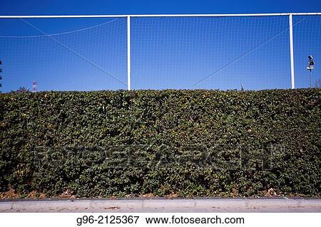 Wall. View Large Photo Image Stock Photo - Wall.. Fotosearch