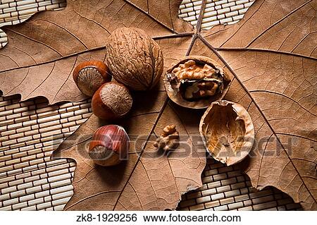 Walnuts and hazelnuts on a dry leaf View Large Photo Image Stock Photograph - Walnuts and hazelnuts on a dry leaf. Fotosearch