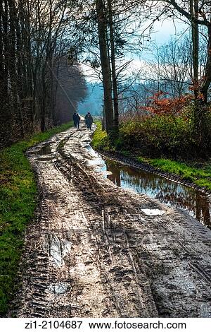 wanderers on muddy track in wood in the Netherlands View Large Photo Image Stock Photo - wanderers on muddy track in wood in the Netherlands. Fotosearch