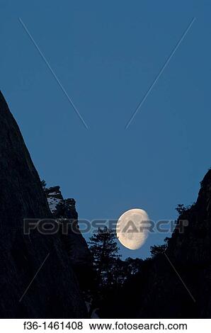 Waning gibbous moon setting behind mountain cliff, Yosemite National Park, California View Large Photo Image Stock Photo - Waning gibbous moon setting behind mountain cliff, Yosemite National Park, California. Fotosearch