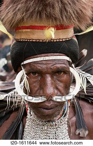 Warrior of Dani Tribe, Baliem Valley, West Papua, Indonesia View Large Photo Image Picture - Warrior of Dani Tribe, Baliem Valley, West Papua, Indonesia. Fotosearch