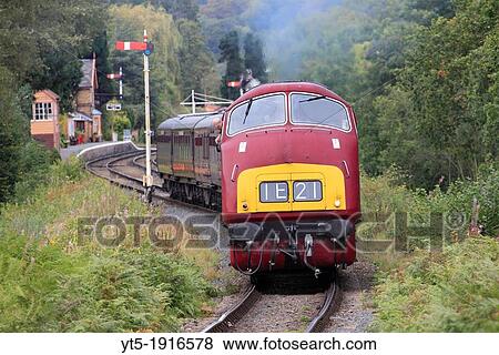 Stock Photo - Warship Class 42? Greyhound? powers out of Hampton Loade Severn Valley Railway Station, Shropshire, England, Europe. Fotosearch