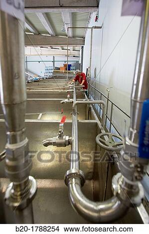 Washing tanks, Production line of canned vegetables and beans, Canning Industry, Agri-food, Logistics Center, Gutarra-Riberebro Group, Villafranca, Navarre, Spain View Large Photo Image Picture - Washing tanks, Production line of canned vegetables and beans, Canning Industry, Agri-food, Logistics Center, Gutarra-Riberebro Group, Villafranca, Navarre, Spain. Fotosearch