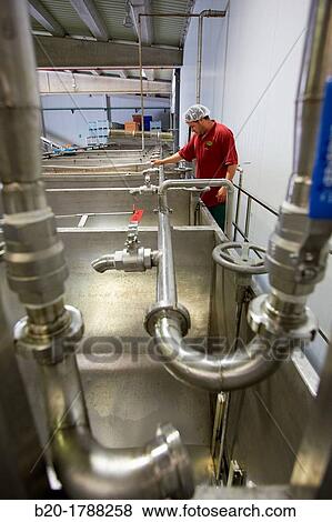 Washing tanks, Production line of canned vegetables and beans, Canning Industry, Agri-food, Logistics Center, Gutarra-Riberebro Group, Villafranca, Navarre, Spain View Large Photo Image Stock Photo - Washing tanks, Production line of canned vegetables and beans, Canning Industry, Agri-food, Logistics Center, Gutarra-Riberebro Group, Villafranca, Navarre, Spain. Fotosearch