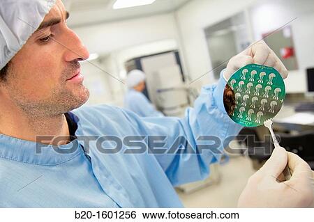 Watching silicon wafer PECVD system for deposition of passivation layers silicon nitride on-wafer View Large Photo Image Stock Photograph - Watching silicon wafer PECVD system for deposition of passivation layers silicon nitride on-wafer. Fotosearch