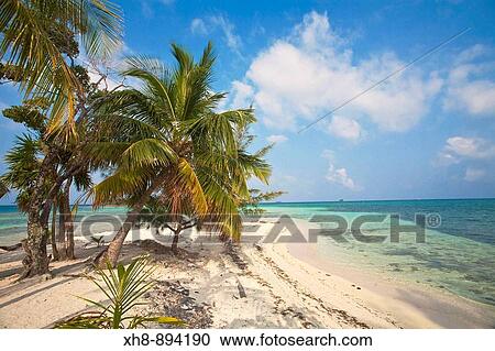 Stock Image - Water Caye, Bay Islands, Honduras. Fotosearch