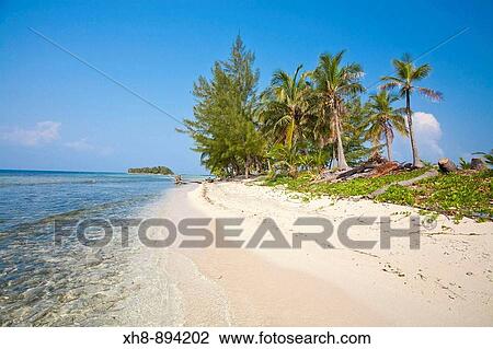 Stock Image - Water Caye, Bay Islands, Honduras. Fotosearch