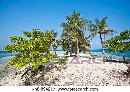 Water Caye, Bay Islands, Honduras View Large Photo Image Stock Photo - Water Caye, Bay Islands, Honduras. Fotosearch