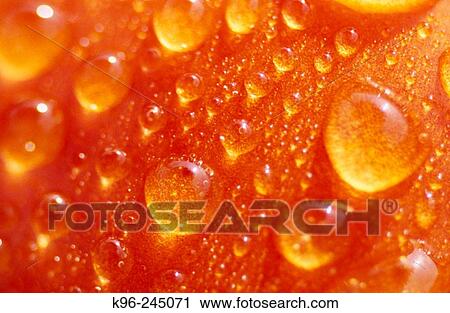 Water Drops View Large Photo Image Stock Image - Water Drops. Fotosearch