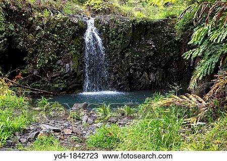 Stock Image - Water fall near Hana, Maui, Hawaii, USA. Fotosearch