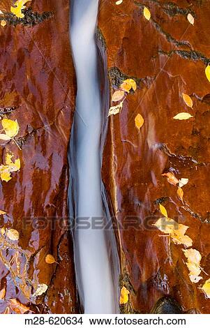 Water flowing through a crack in the red sandstone slickrock, Left Fork of North Creek, Zion National Park. Utah, USA View Large Photo Image Picture - Water flowing through a crack in the red sandstone slickrock, Left Fork of North Creek, Zion National Park. Utah, USA. Fotosearch