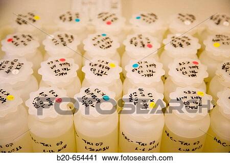 Water samples. Plankton laboratory. AZTI-Tecnalia. Technological Centre specialised in Marine and Food Research. Pasaia, Gipuzkoa, Euskadi. Spain. View Large Photo Image Stock Image - Water samples. Plankton laboratory. AZTI-Tecnalia. Technological Centre specialised in Marine and Food Research. Pasaia, Gipuzkoa, Euskadi. Spain.. Fotosearch