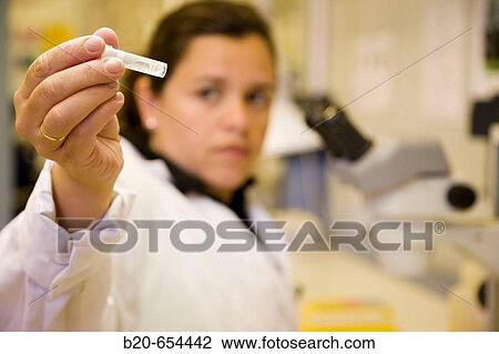 Stock Image - Water samples. Plankton laboratory. AZTI-Tecnalia. Technological Centre specialised in Marine and Food Research. Pasaia, Gipuzkoa, Euskadi. Spain.. Fotosearch