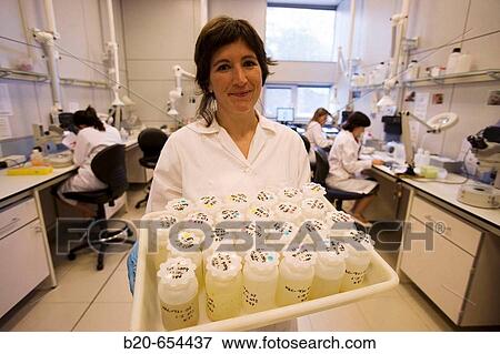 Stock Photo - Water samples. Plankton laboratory. AZTI-Tecnalia. Technological Centre specialised in Marine and Food Research. Pasaia, Gipuzkoa, Euskadi. Spain.. Fotosearch