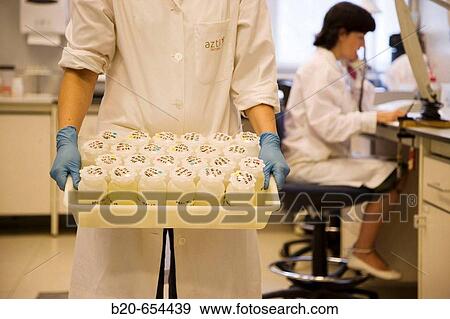 Stock Photo - Water samples. Plankton laboratory. AZTI-Tecnalia. Technological Centre specialised in Marine and Food Research. Pasaia, Gipuzkoa, Euskadi. Spain.. Fotosearch