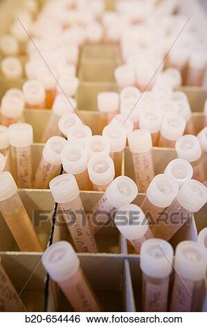 Water samples. Plankton laboratory. AZTI-Tecnalia. Technological Centre specialised in Marine and Food Research. Pasaia, Gipuzkoa, Euskadi. Spain. View Large Photo Image Stock Photograph - Water samples. Plankton laboratory. AZTI-Tecnalia. Technological Centre specialised in Marine and Food Research. Pasaia, Gipuzkoa, Euskadi. Spain.. Fotosearch