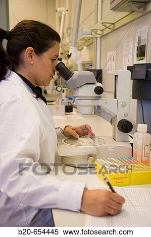 Water samples. Plankton laboratory. AZTI-Tecnalia. Technological Centre specialised in Marine and Food Research. Pasaia, Gipuzkoa, Euskadi. Spain. View Large Photo Image Stock Photography - Water samples. Plankton laboratory. AZTI-Tecnalia. Technological Centre specialised in Marine and Food Research. Pasaia, Gipuzkoa, Euskadi. Spain.. Fotosearch