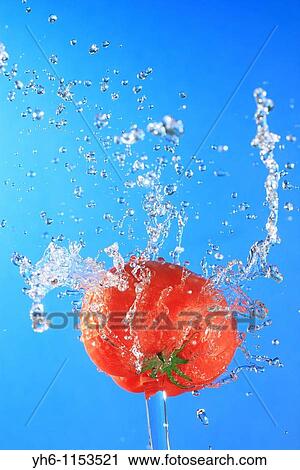 Water splash, Tomato View Large Photo Image Stock Image - Water splash, Tomato. Fotosearch