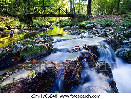 Stock Photo - Watercourse Saja-Besaya Natural Park Cantabria, Spain. Fotosearch