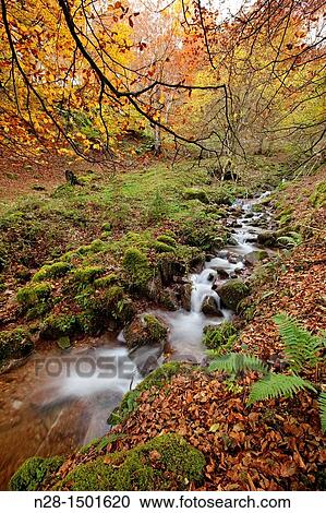 Stock Image - Waterfall, autumn landscape, Saja Natural Park, Saja-Nansa, Cantabria, Spain. Fotosearch