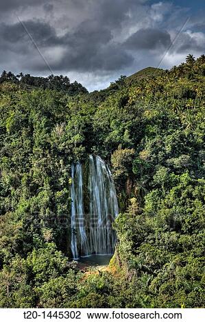 Stock Image - Waterfall Cascada El Limon, Las Terrenas, Samana Peninsula, Dominican Republic. Fotosearch