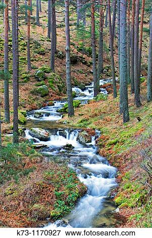 Waterfall. Cega River. Navafria. Segovia province. Castilla y Leon. Spain View Large Photo Image Stock Photo - Waterfall. Cega River. Navafria. Segovia province. Castilla y Leon. Spain. Fotosearch