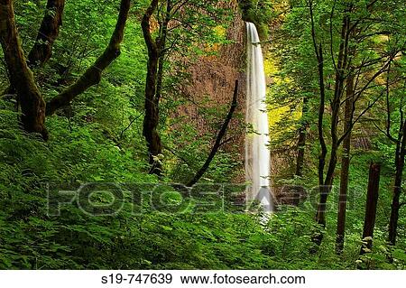 Stock Photo - Waterfall, Columbia River Gorge, Oregon, USA. Fotosearch