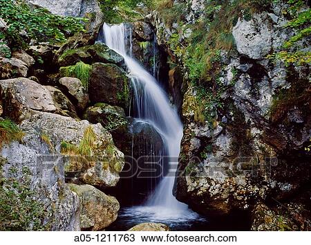 Stock Image - Waterfall. Duje River. Tielve. Cabrales. Picos de Europa. Oriente region. Asturias. Spain.. Fotosearch