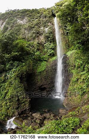 Waterfall Middleham Falls, Morne Trois Pitons National Park, Dominica View Large Photo Image Stock Photo - Waterfall Middleham Falls, Morne Trois Pitons National Park, Dominica. Fotosearch