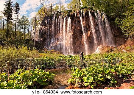 Waterfall over the travatine deposits of Plitvice Plitvice Plitvi ka Lakes National Park, Croatia A UNESCO World Heritage Site View Large Photo Image Picture - Waterfall over the travatine deposits of Plitvice Plitvice Plitvi ka Lakes National Park, Croatia A UNESCO World Heritage Site. Fotosearch