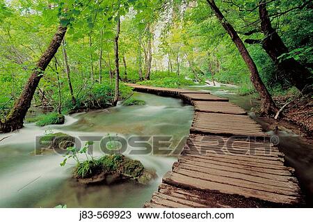 Waterfall, Plitvice lake. Plitvice National Park, Croatia View Large Photo Image Stock Image - Waterfall, Plitvice lake. Plitvice National Park, Croatia. Fotosearch