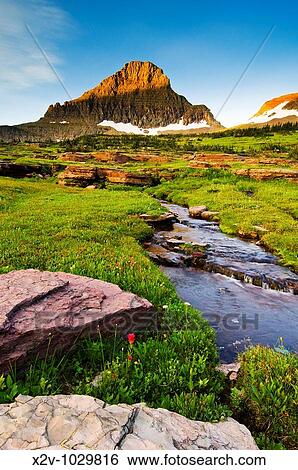 Waterfalls and wildflowers at Hanging Garden at Logan Pass, Glacier National Park, Montana View Large Photo Image Stock Photograph - Waterfalls and wildflowers at Hanging Garden at Logan Pass, Glacier National Park, Montana. Fotosearch