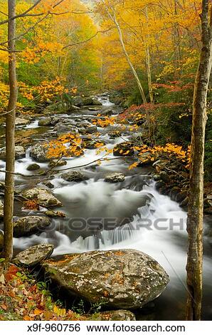 Stock Photograph - Waterfalls in the middle prong of the Little Pigeon River in Tremont of Great Smoky Mountains National Park, Tennessee, USA in Autumn.. Fotosearch