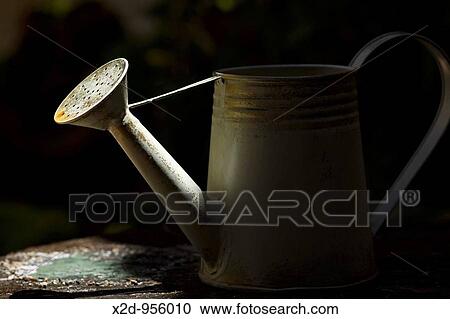 Stock Image - Watering can highlighted by soft sunlight. Fotosearch
