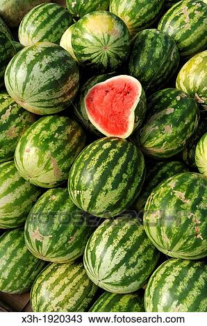 watermelon display for sale on the roadside, Republic of Panama, Central America View Large Photo Image Stock Image - watermelon display for sale on the roadside, Republic of Panama, Central America. Fotosearch