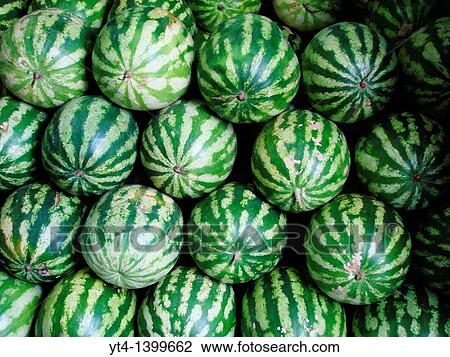 Watermelons, Sao Joaquim Market, Salvador, Bahia, Brazil View Large Photo Image Stock Image - Watermelons, Sao Joaquim Market, Salvador, Bahia, Brazil. Fotosearch