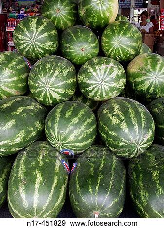 Watermelons View Large Photo Image Stock Photo - Watermelons. Fotosearch