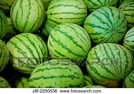 Watermelons. View Large Photo Image Stock Photograph - Watermelons.. Fotosearch