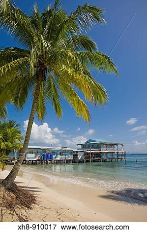 Stock Photo - Waterside hotel, Carenero Island, Bocas del Toro Province, Panama. Fotosearch