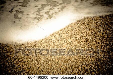 Waves and sand, Cabo de Gata, Almeria, Spain View Large Photo Image Stock Image - Waves and sand, Cabo de Gata, Almeria, Spain. Fotosearch
