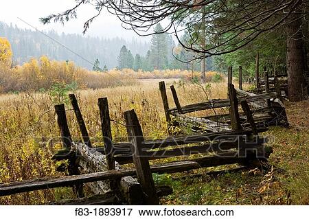 Wawona area, Yosemite National Park, California, USA, split rail fence at edge of meadow with cedars, pines, and willows, rainy day, November View Large Photo Image Stock Photo - Wawona area, Yosemite National Park, California, USA, split rail fence at edge of meadow with cedars, pines, and willows, rainy day, November. Fotosearch