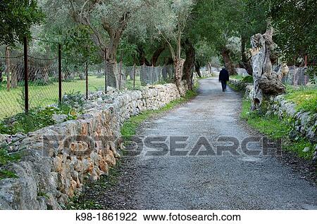Way of Biniforani Bunyola Balearic Islands Mallorca Spain View Large Photo Image Stock Image - Way of Biniforani Bunyola Balearic Islands Mallorca Spain. Fotosearch
