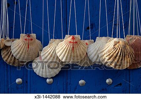 Way of Saint James symbol shell View Large Photo Image Stock Photo - Way of Saint James symbol shell. Fotosearch