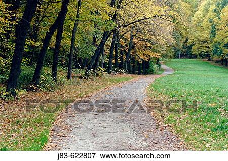 Stock Photo - Way through forest in autumn, Saxony, Germany. Fotosearch