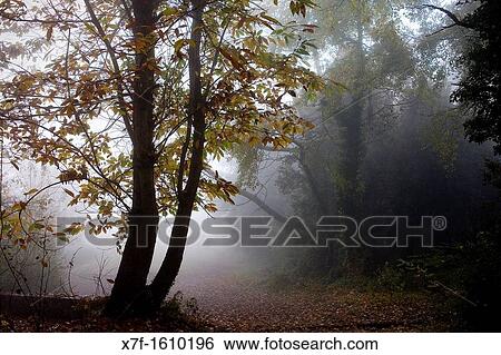 way to the top of Santa Margarida Volcano, Garrotxa Natural Park, Girona province Catalonia Spain View Large Photo Image Stock Photograph - way to the top of Santa Margarida Volcano, Garrotxa Natural Park, Girona province Catalonia Spain. Fotosearch