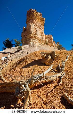 Weathered pinnacle, Red Canyon Dixie National Forest Utah View Large Photo Image Stock Image - Weathered pinnacle, Red Canyon Dixie National Forest Utah. Fotosearch