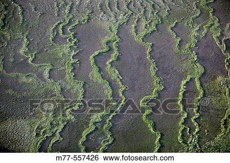 Stock Photograph - Weetland, aerial view. Kiruna. Lappland. Sweden. Fotosearch