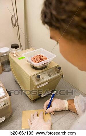Weighing botanical seeds, Plant health laboratory. Neiker Tecnalia, Instituto de Investigaci? n y Desarrollo Agrario, Ganadero, Forestal y del Medio Natural, Arkaute, Alava, Euskadi, Spain. View Large Photo Image Stock Image - Weighing botanical seeds, Plant health laboratory. Neiker Tecnalia, Instituto de Investigaci? n y Desarrollo Agrario, Ganadero, Forestal y del Medio Natural, Arkaute, Alava, Euskadi, Spain.. Fotosearch